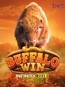BuffaloWin: Uma Imersão no Mundo dos Cassinos Online com 777bo